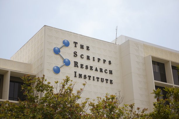 Image result for The Scripps Research Institute