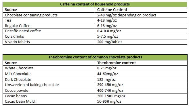 Dog Chocolate Toxicity Chart